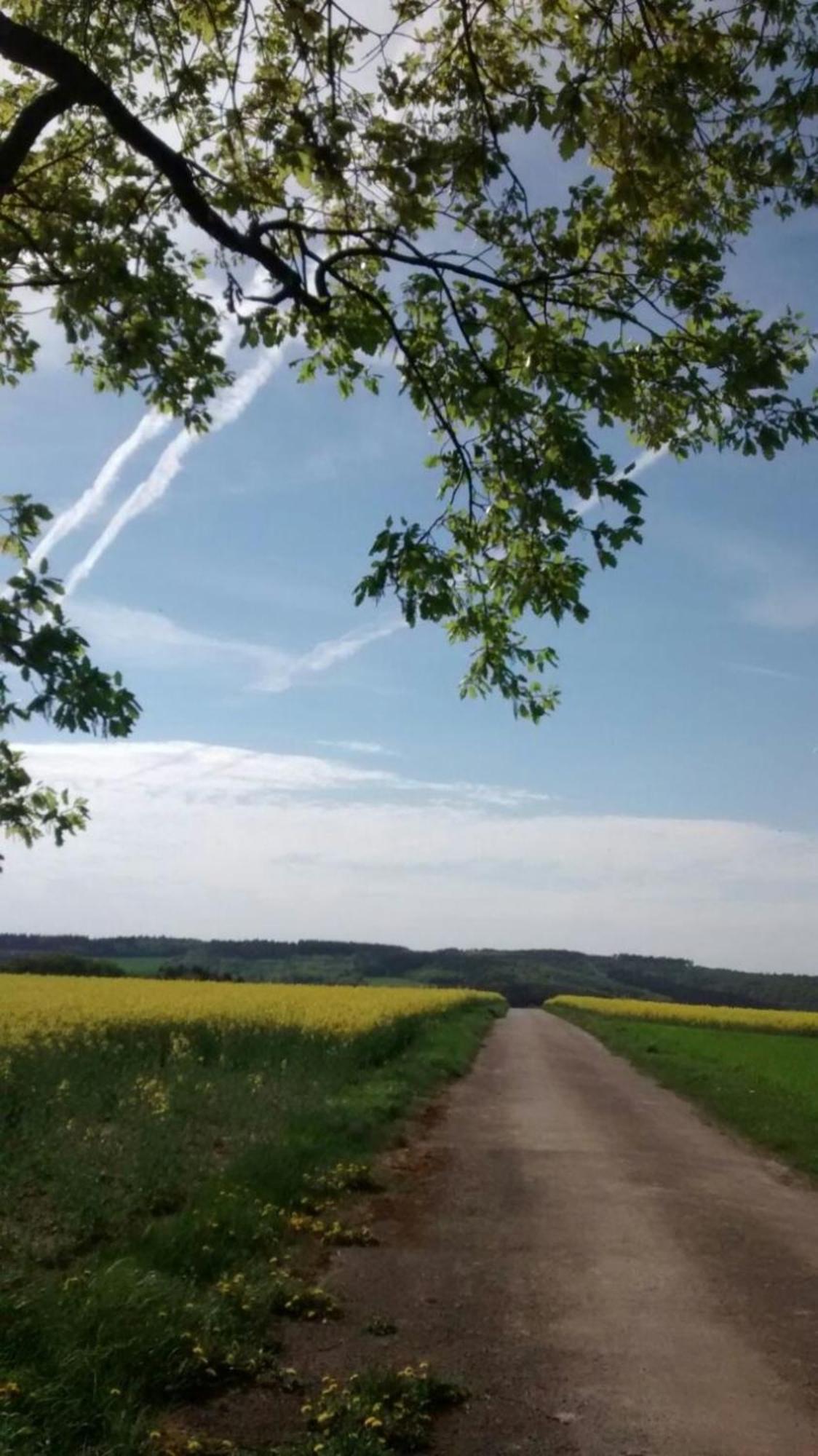 Ferienwohnung Otto Kleinich Esterno foto